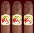 La Gloria Cubana Wavell (5x50 / Box 25)