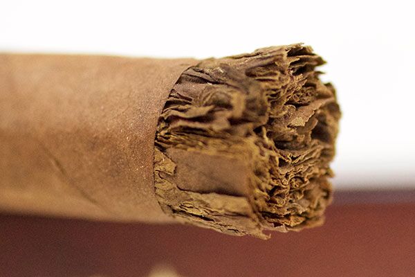 La Palina Family Series Miami Pasha Cigar Review